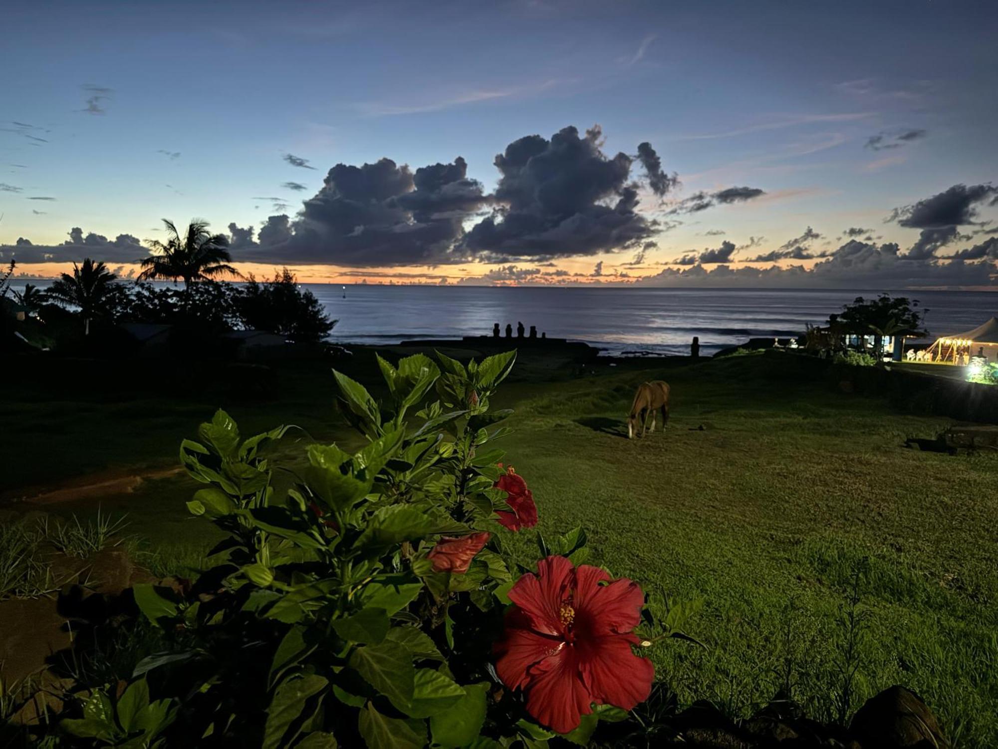 Cabanas Tangaroa Y Hamea Villa Hanga Roa Eksteriør billede